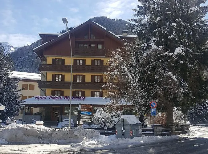 Hotel Pineta Ponte Di Legno